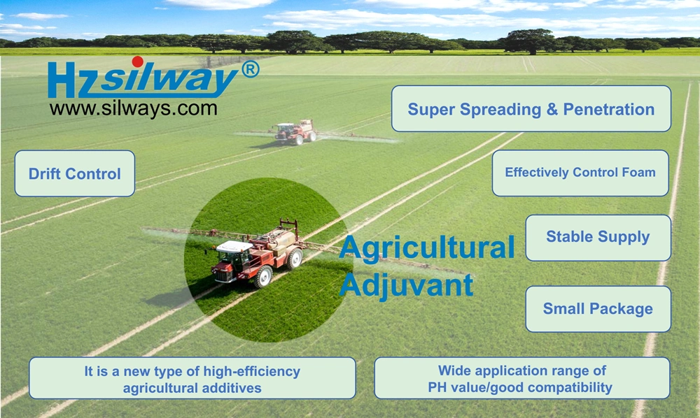 Silway 246D Low Foam Silicone Additive Wetting Spreading Penetrating Agent Silicone Adjuvant Agrochemicals Surfactant Chemical