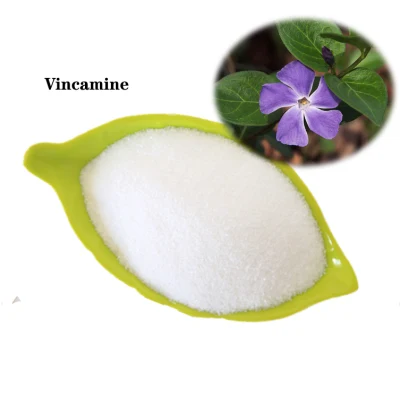 Hochwertige medizinische Rohstoffe aus Pflanzenextrakten CAS 1617-90-9 Vincamin
